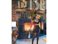 rak-female-escort-s696698-o569636398-rak-pakistani-call-girls-small-1