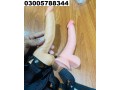 dildos-with-belt-toy-in-hasilpur03005788344-allow-to-open-parcel-policy-small-4